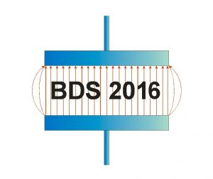 Logo_BDS2016_large