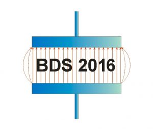 Logo_BDS2016_large