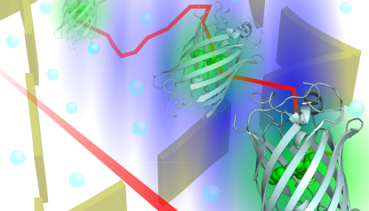 Probing short-range protein Brownian motion in the cytoplasm of living cells