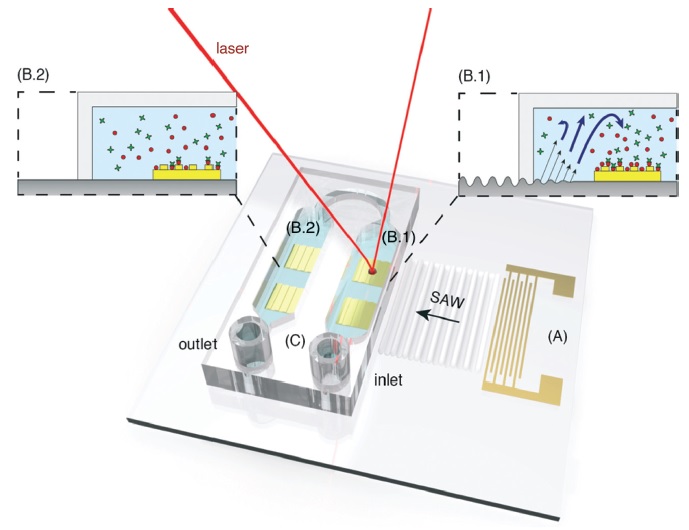 A surface acoustic wave (SAW)-enhanced gratingcoupling phase-interrogation surface plasmon resonance (SPR) microfluidic biosensor.