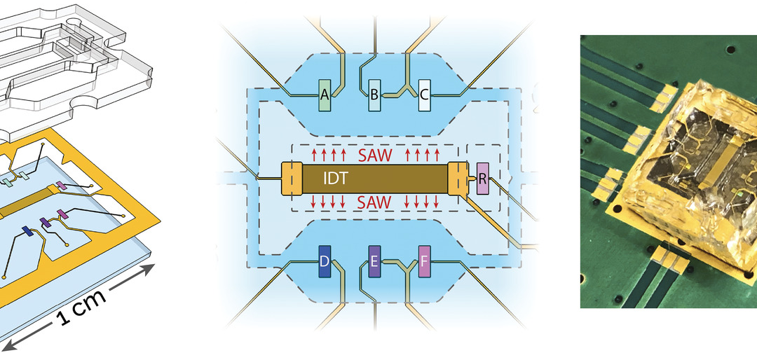 Coin-sized device detects measles virus in saliva